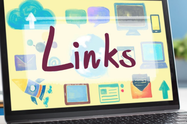 What to Expect from Cheap PBN Builds Done Properly